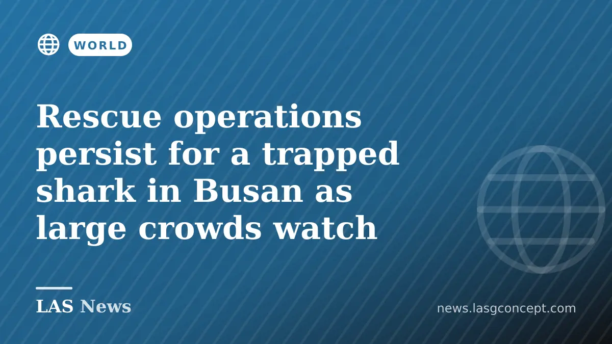 Rescue operations persist for a trapped shark in Busan as large crowds watch
