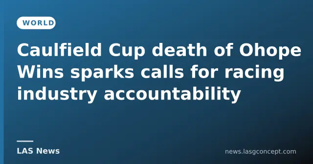 Caulfield Cup death of Ohope Wins sparks calls for racing industry accountability
