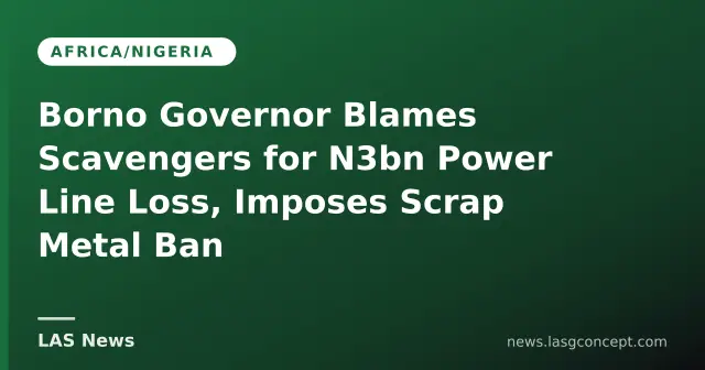Borno Governor Blames Scavengers for N3bn Power Line Loss, Imposes Scrap Metal Ban