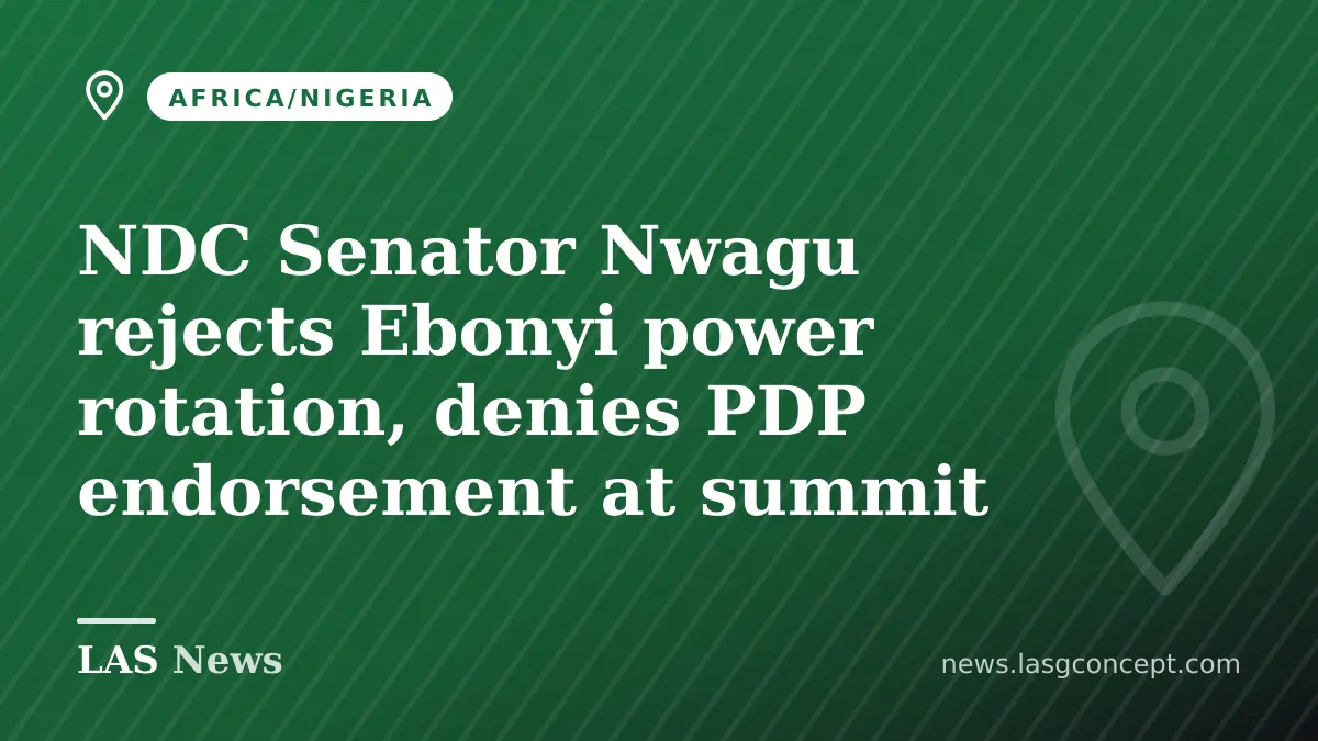 NDC Senator Nwagu rejects Ebonyi power rotation, denies PDP endorsement at summit